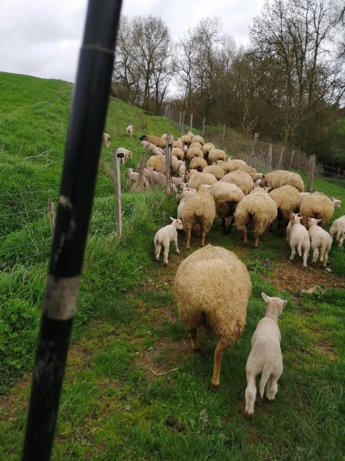 La Gaucherie Aux Dames Vihiers Exteriör bild